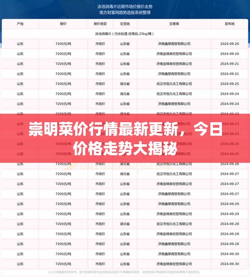 崇明菜價(jià)行情最新更新，今日價(jià)格走勢(shì)大揭秘