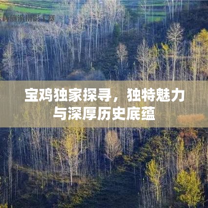 寶雞獨(dú)家探尋，獨(dú)特魅力與深厚歷史底蘊(yùn)