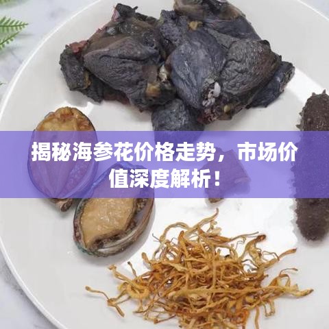 揭秘海參花價格走勢，市場價值深度解析！