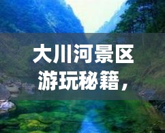 大川河景區(qū)游玩秘籍，暢游美景，盡享樂趣！
