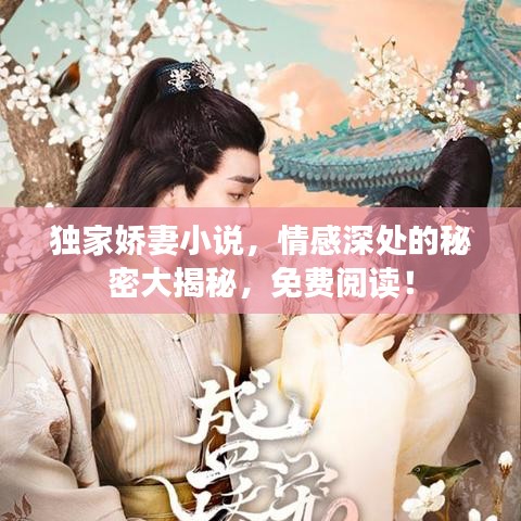 獨(dú)家嬌妻小說(shuō)，情感深處的秘密大揭秘，免費(fèi)閱讀！