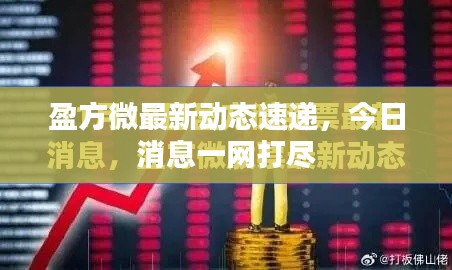 盈方微最新動(dòng)態(tài)速遞，今日消息一網(wǎng)打盡