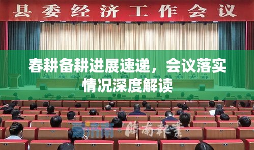 春耕備耕進展速遞，會議落實情況深度解讀