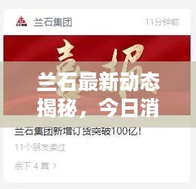 蘭石最新動(dòng)態(tài)揭秘，今日消息一網(wǎng)打盡！