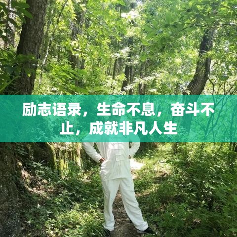 勵志語錄，生命不息，奮斗不止，成就非凡人生