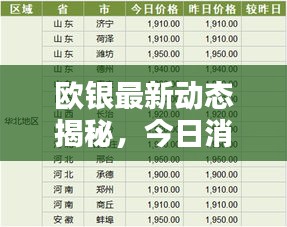 歐銀最新動(dòng)態(tài)揭秘，今日消息一網(wǎng)打盡！