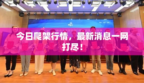 今日爬架行情，最新消息一網(wǎng)打盡！