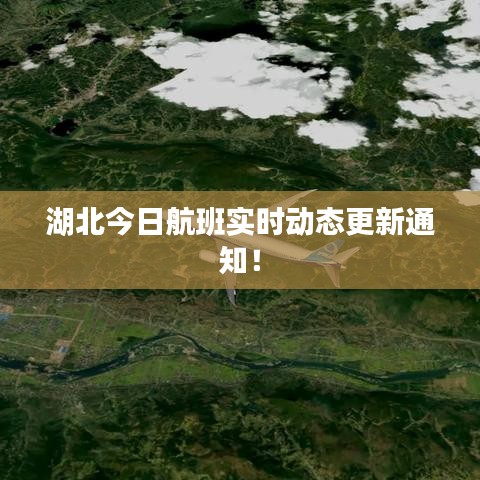 湖北今日航班實時動態(tài)更新通知！