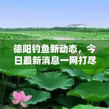 德陽釣魚新動態(tài)，今日最新消息一網(wǎng)打盡！
