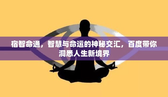宿智命通，智慧與命運的神秘交匯，百度帶你洞悉人生新境界