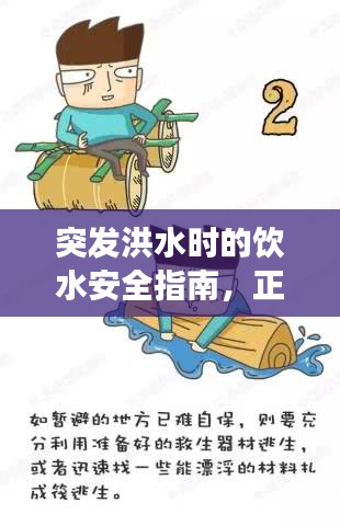 突發(fā)洪水時的飲水安全指南，正確飲水視頻教程助你應對危機