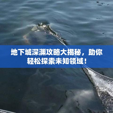 地下城深淵攻略大揭秘，助你輕松探索未知領(lǐng)域！