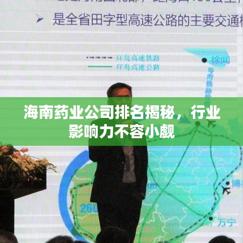 海南藥業(yè)公司排名揭秘，行業(yè)影響力不容小覷