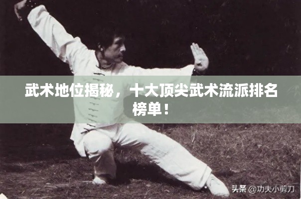 武術(shù)地位揭秘，十大頂尖武術(shù)流派排名榜單！