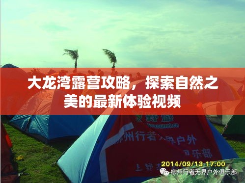 大龍灣露營(yíng)攻略，探索自然之美的最新體驗(yàn)視頻
