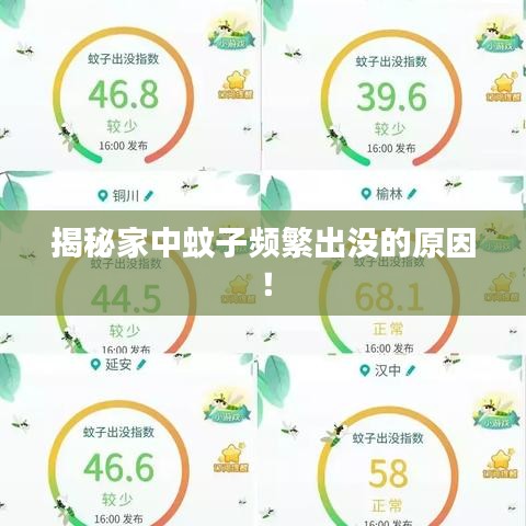揭秘家中蚊子頻繁出沒的原因！