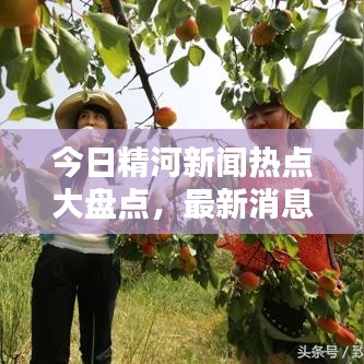 今日精河新聞熱點大盤點，最新消息綜述