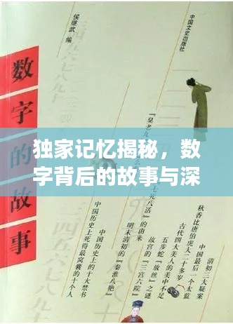 獨(dú)家記憶揭秘，數(shù)字背后的故事與深意探尋