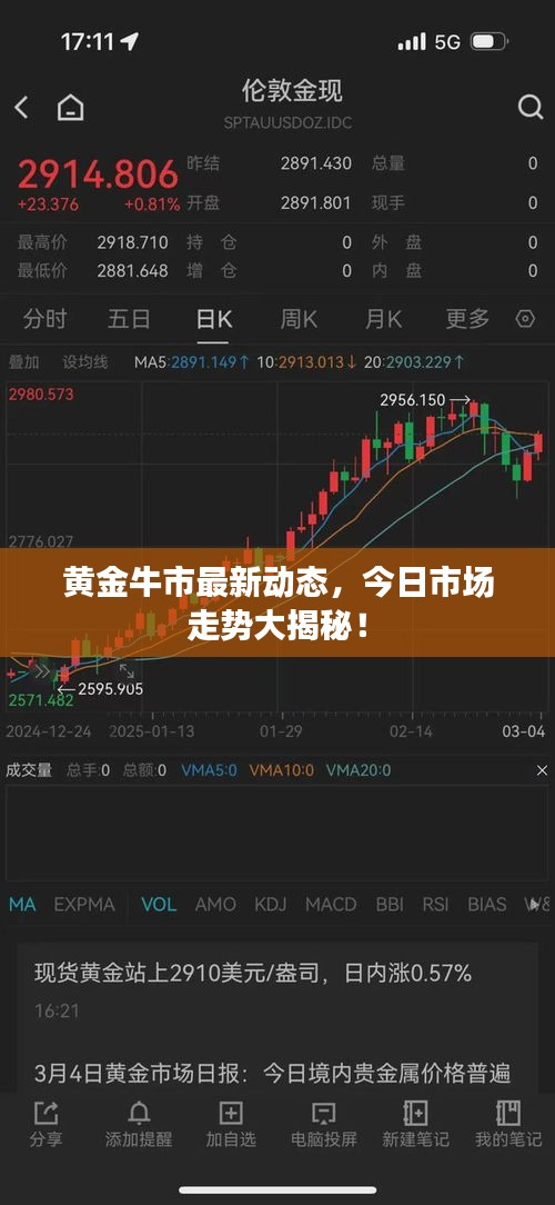 黃金牛市最新動態(tài)，今日市場走勢大揭秘！