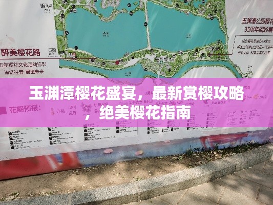 玉淵潭櫻花盛宴，最新賞櫻攻略，絕美櫻花指南