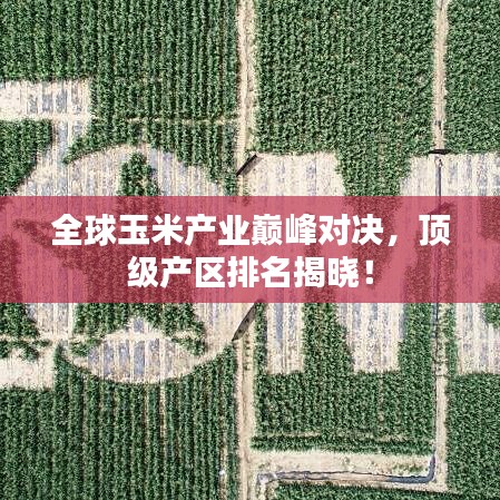 全球玉米產(chǎn)業(yè)巔峰對決，頂級產(chǎn)區(qū)排名揭曉！