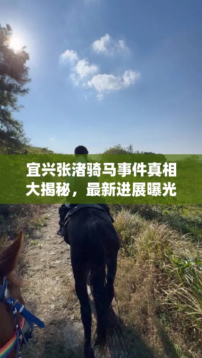 宜興張渚騎馬事件真相大揭秘，最新進(jìn)展曝光