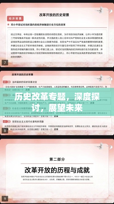 歷史改革專題，深度探討，展望未來