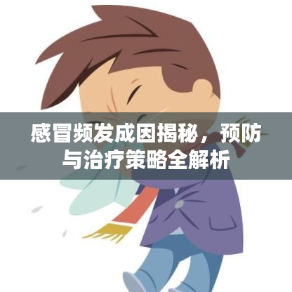 感冒頻發(fā)成因揭秘，預防與治療策略全解析