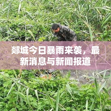 郯城今日暴雨來襲，最新消息與新聞報道