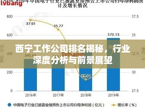 西寧工作公司排名揭秘，行業(yè)深度分析與前景展望