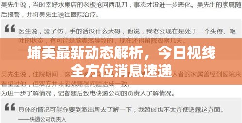 埔美最新動態(tài)解析，今日視線全方位消息速遞