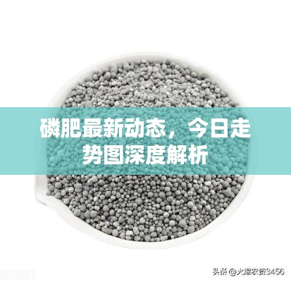 磷肥最新動態(tài)，今日走勢圖深度解析