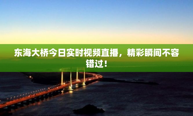 東海大橋今日實(shí)時(shí)視頻直播，精彩瞬間不容錯(cuò)過！
