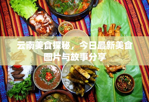 云南美食探秘，今日最新美食圖片與故事分享