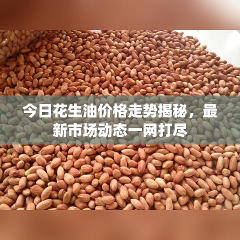 今日花生油價(jià)格走勢(shì)揭秘，最新市場(chǎng)動(dòng)態(tài)一網(wǎng)打盡