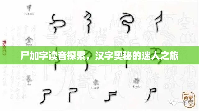 尸加字讀音探索，漢字奧秘的迷人之旅