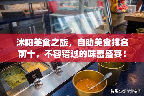 沭陽美食之旅，自助美食排名前十，不容錯過的味蕾盛宴！