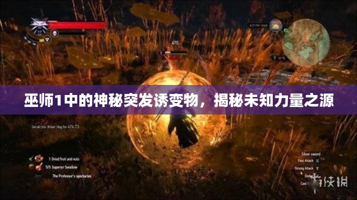 巫師1中的神秘突發(fā)誘變物，揭秘未知力量之源