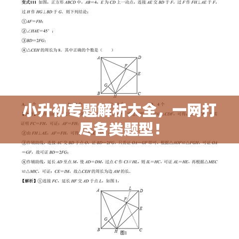 小升初專題解析大全，一網(wǎng)打盡各類題型！