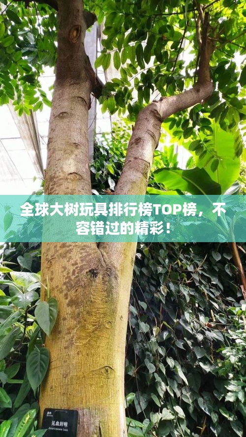 全球大樹玩具排行榜TOP榜，不容錯(cuò)過的精彩！