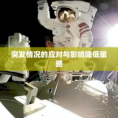 突發(fā)情況的應(yīng)對(duì)與影響降低策略
