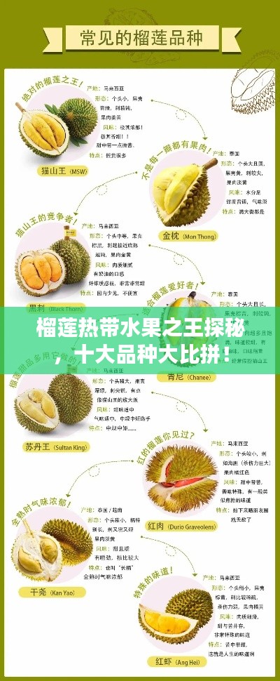 榴蓮熱帶水果之王探秘，十大品種大比拼！