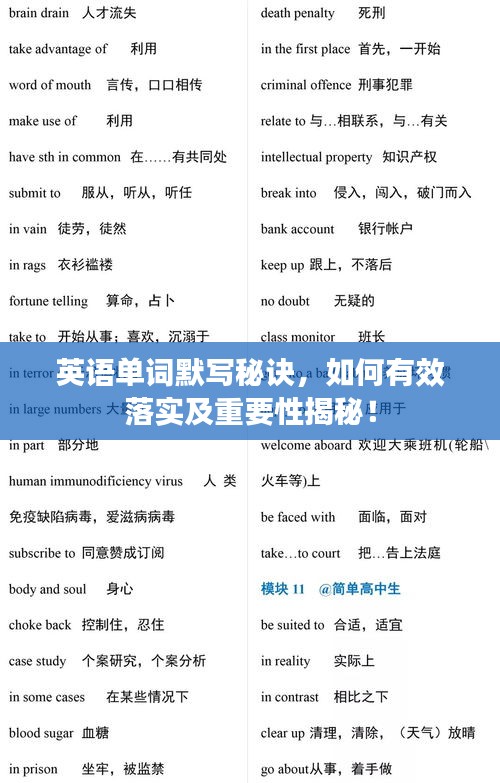 英語(yǔ)單詞默寫(xiě)秘訣，如何有效落實(shí)及重要性揭秘！