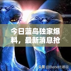 今日藍鳥獨家爆料，最新消息搶先看！
