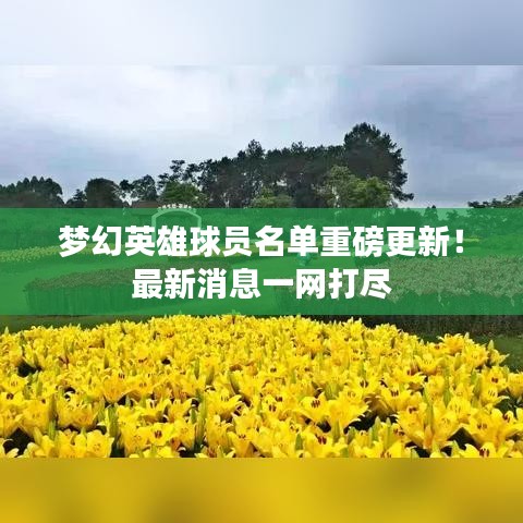 夢幻英雄球員名單重磅更新！最新消息一網(wǎng)打盡