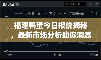 福建鴨蛋今日報價揭秘，最新市場分析助你洞悉行情！