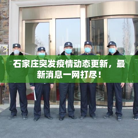 石家莊突發(fā)疫情動態(tài)更新，最新消息一網(wǎng)打盡！