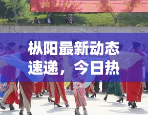 樅陽最新動態(tài)速遞，今日熱點消息一網打盡