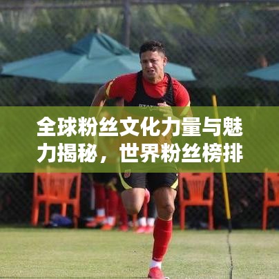 全球粉絲文化力量與魅力揭秘，世界粉絲榜排名探索
