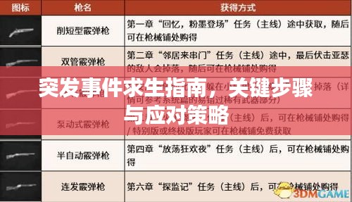 突發(fā)事件求生指南，關(guān)鍵步驟與應(yīng)對(duì)策略